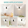 3D Bald Eagle Wall Light | Remote Control | Timer | Night Lamp Decor