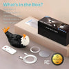 3D Bald Eagle Wall Light | Remote Control | Timer | Night Lamp Decor